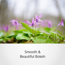 Load image into Gallery viewer, Sony Planar T* FE 50mm F1.4 ZA (SEL50F14Z) E-Mount Full-Frame, Standard Prime Lens