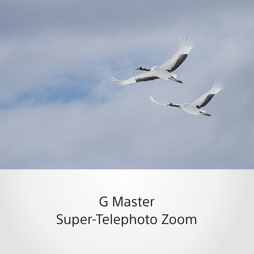 Sony Super telephoto Zoom 100-400mm G Master lens (SEL100400GM) E-Mount Full-Frame