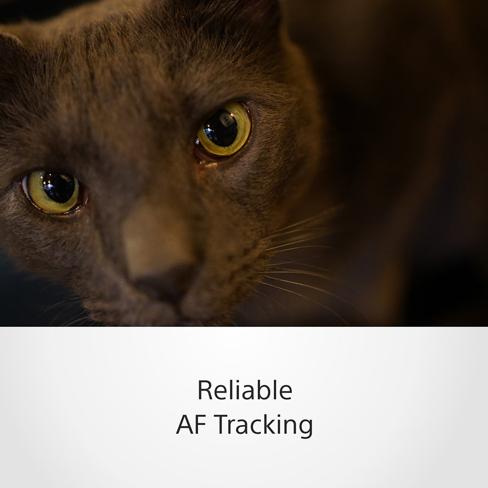 Sony FE 35mm F1.8 (SEL35F18F) E-Mount Full-Frame, Wide-angle Prime Lens