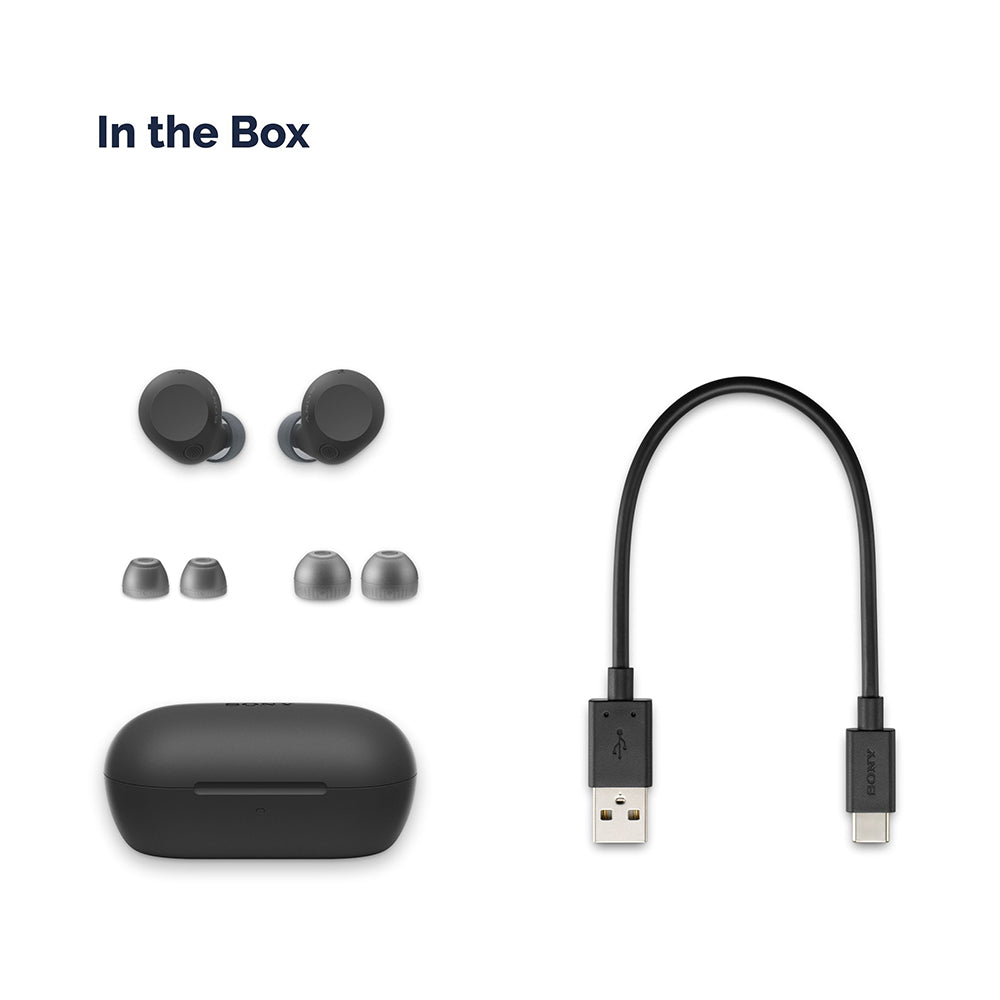 Sony WF-C710N Dual Noise Cancellation Wireless Bluetooth Earbuds with Mic, TWS, High Quality Call with AI, 30 Hrs Battery, Quick Charge
