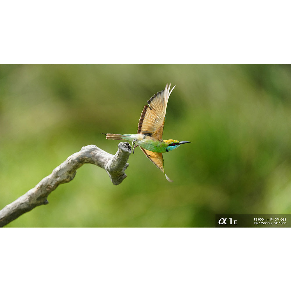 Sony Alpha ILCE-1M2 Mirrorless Full-Frame Camera | 30 FPS | 50.1 MP | 8K 30P, 4K 120P | Real-time Eye AF, Real time Tracking - Black