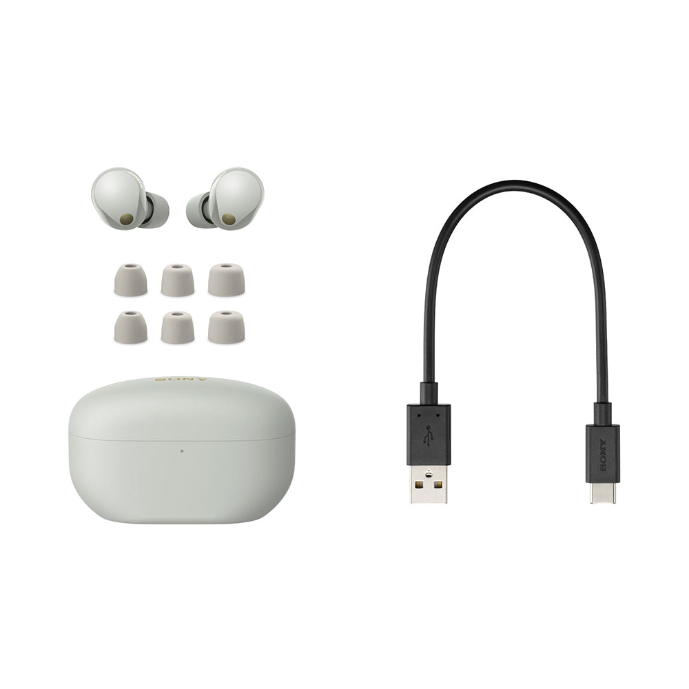 Sony WF-1000XM5 Wireless Noise Cancelling Earbuds, Bluetooth, In-Ear Headphones with Microphone, Up to 36 hours battery life and Quick Charge, IPX4 rating, Works with iOS & Android
