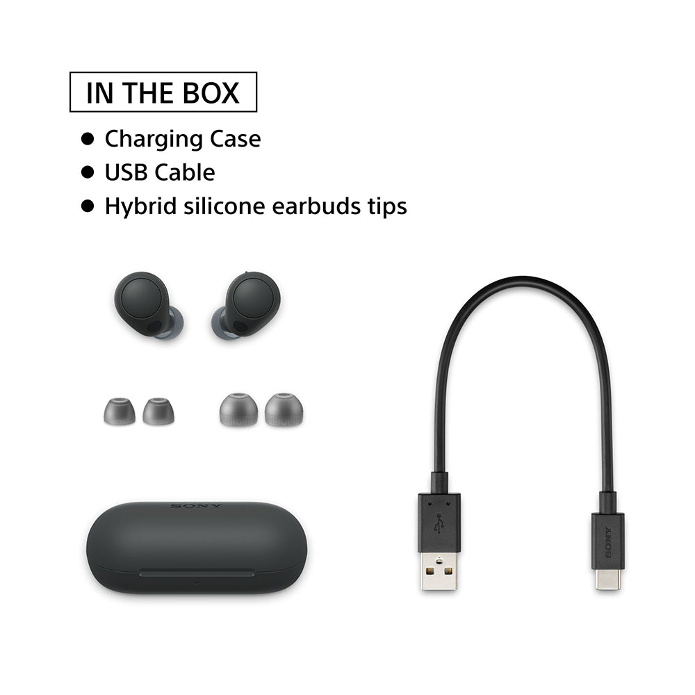 Sony WF-C700N Bluetooth Lightest Truly Wireless Noise Cancellation In Ear Earbuds, 360 RA, Multipoint Connection, 10 Mins Super Quick Charge, 20hrs Batt Life, IPX4 Ratings, Fast Pair, App Support