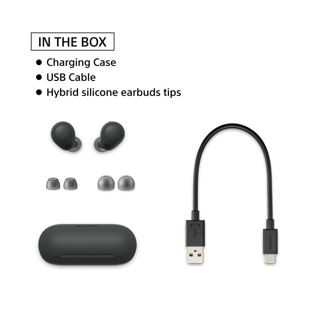 Sony WF-C700N Bluetooth Lightest Truly Wireless Noise Cancellation In Ear Earbuds, 360 RA, Multipoint Connection, 10 Mins Super Quick Charge, 20hrs Batt Life, IPX4 Ratings, Fast Pair, App Support
