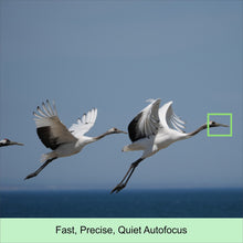 Load image into Gallery viewer, Sony FE 100–400 mm(SEL100400)|F5.6-8 OSS|Full-Frame| Compact &amp; Lightweight | Super-Telephoto | Fast &amp; Precise Autofocus - Black