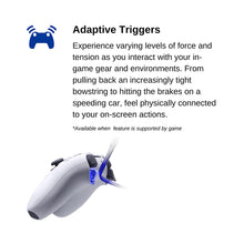 Load image into Gallery viewer, PS5 DualSense Controller FL007