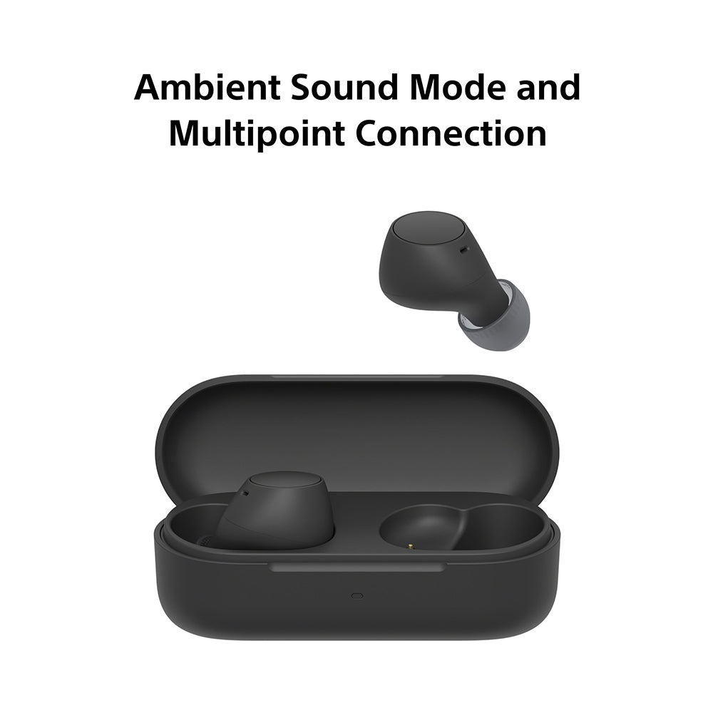 Sony WF C510 Truly Wireless Bluetooth Earbuds with Mic TWS Up to 22