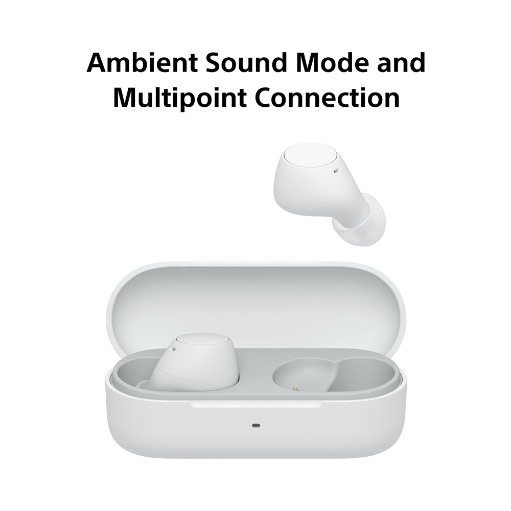 Sony WF-C510 Truly Wireless Bluetooth Earbuds with Mic, TWS, Up to 22 Hours Battery, Ambient Sound Mode, Small and Comfortable, IPX4