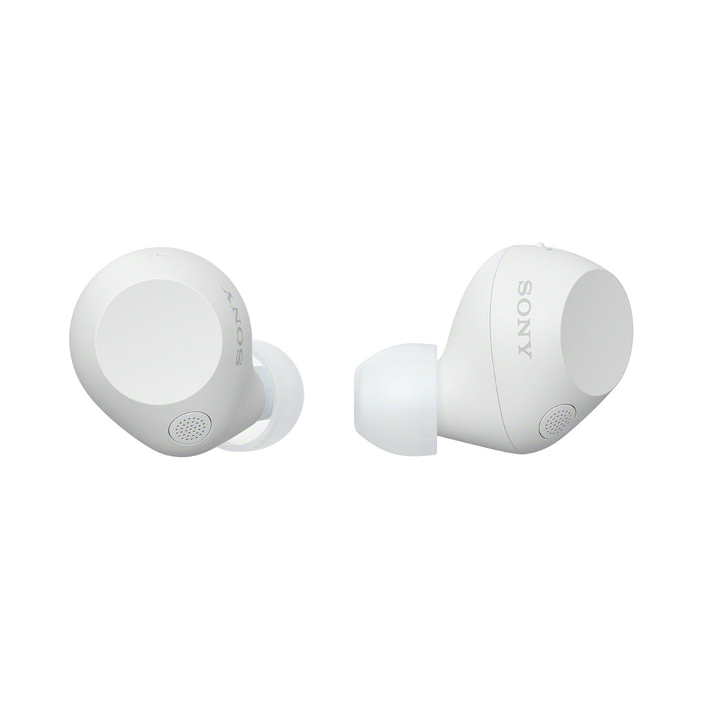 Sony WF-C710N Dual Noise Cancellation Wireless Bluetooth Earbuds with Mic, TWS, High Quality Call with AI, 30 Hrs Battery, Quick Charge - Black