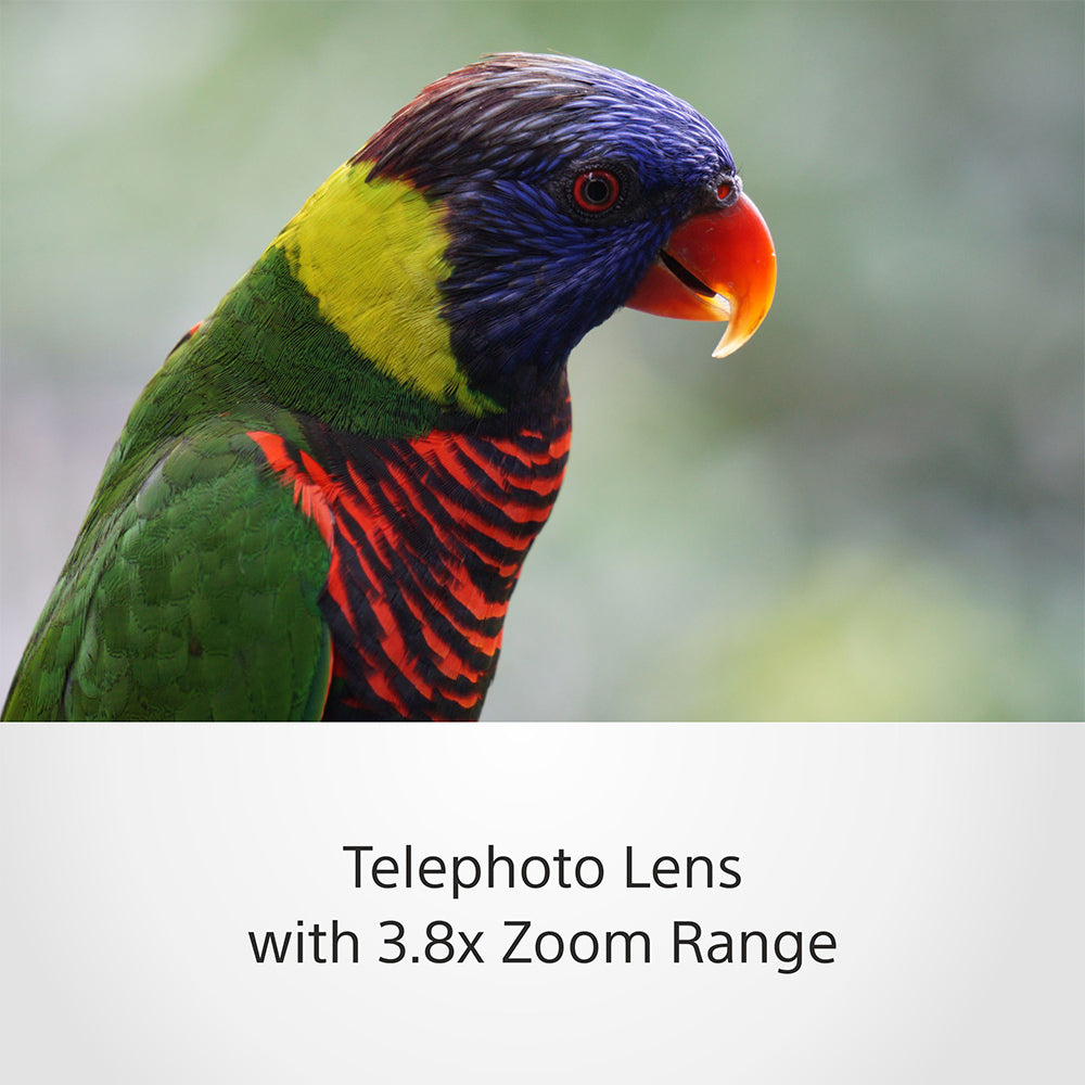 Sony Wildlife Photography Lenses Sony Best Mirrorless Cameras For