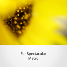 Load image into Gallery viewer, Sony FE 50 mm F2.8 Macro (SEL50M28) E-Mount Full-Frame, Standard Macro Prime Lens