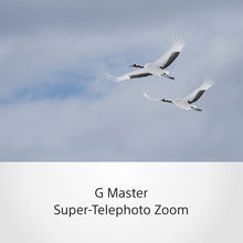 Load image into Gallery viewer, Sony Super telephoto Zoom 100-400mm G Master lens (SEL100400GM) E-Mount Full-Frame