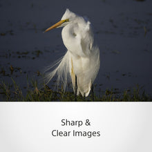 Load image into Gallery viewer, Sony E 70–350 mm F4.5–6.3 G OSS (SEL70350G) E-Mount APS-C, Super-telephoto Zoom G Lens