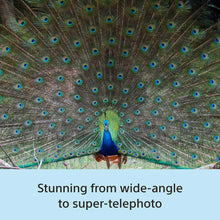 Load image into Gallery viewer, Sony RX10 V 24–600 mm Zoom| Wide-angle to Super-telephoto | F2.4-4.0 zoom lens|1.0-type Exmor RS CMOS sensor | 20.1 MP| 30fps burst shooting - Black