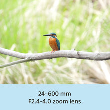 Load image into Gallery viewer, Sony RX10 V 24–600 mm Zoom| Wide-angle to Super-telephoto | F2.4-4.0 zoom lens|1.0-type Exmor RS CMOS sensor | 20.1 MP| 30fps burst shooting - Black