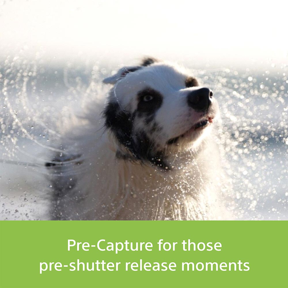 Sony Alpha ILCE-7M5 Full-Frame High Resolution 33 MP Camera | Partially Stacked sensor | 4K 120P | 30fps - Black