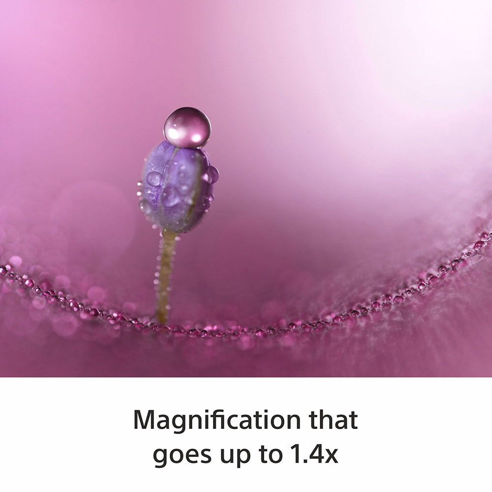 Sony E-Mount FE 100 MM F2.8 MACRO GM OSS Full-Frame Lens (SEL100M28GM) I 1.4x magnification I Excellent Macro lens - Black