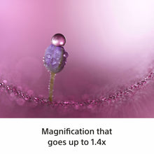 Load image into Gallery viewer, Sony E-Mount FE 100 MM F2.8 MACRO GM OSS Full-Frame Lens (SEL100M28GM) I 1.4x magnification I Excellent Macro lens - Black