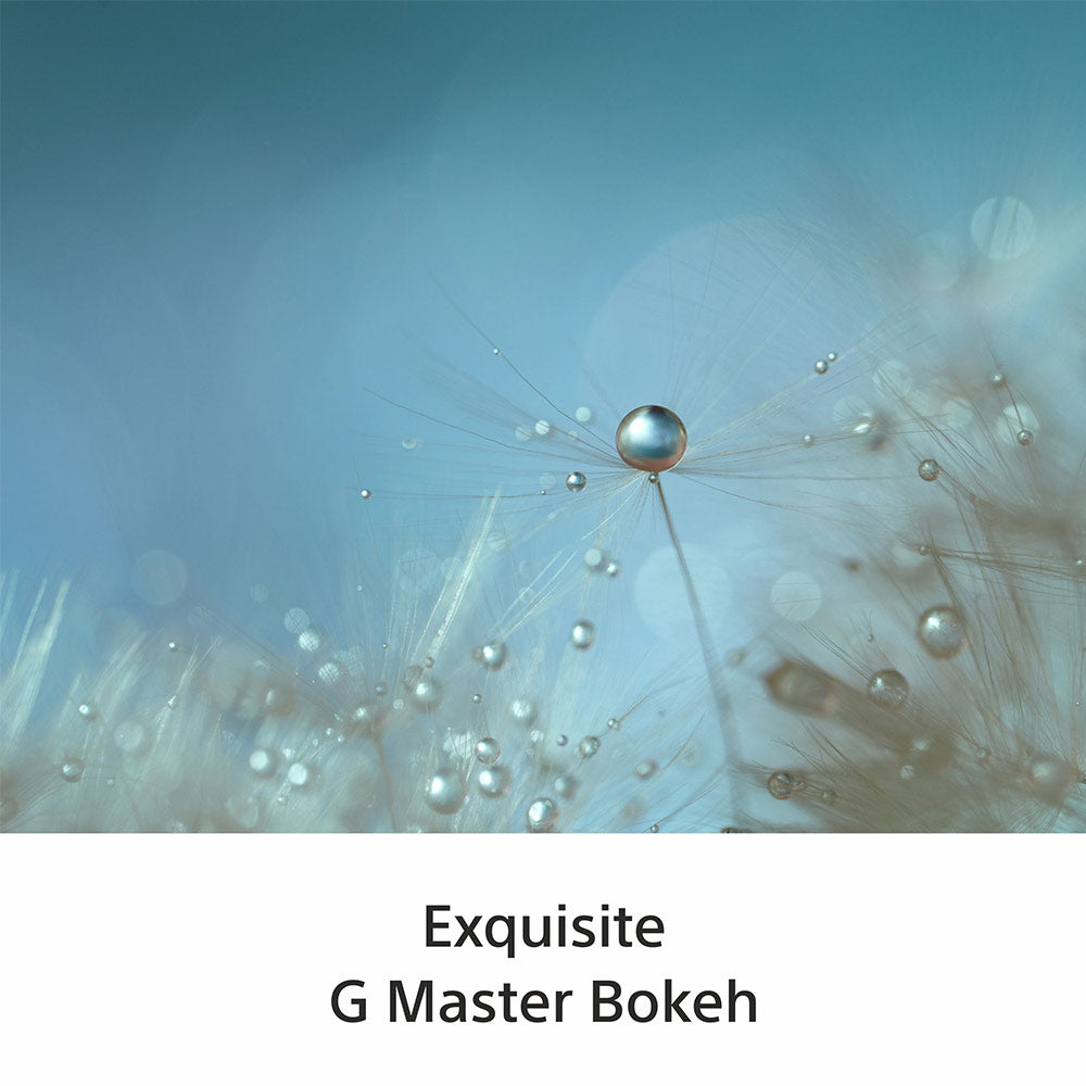 Sony E-Mount FE 100 MM F2.8 MACRO GM OSS Full-Frame Lens (SEL100M28GM) I 1.4x magnification I Excellent Macro lens - Black