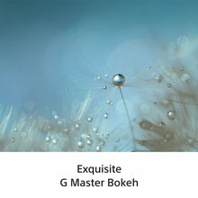 Load image into Gallery viewer, Sony E-Mount FE 100 MM F2.8 MACRO GM OSS Full-Frame Lens (SEL100M28GM) I 1.4x magnification I Excellent Macro lens - Black