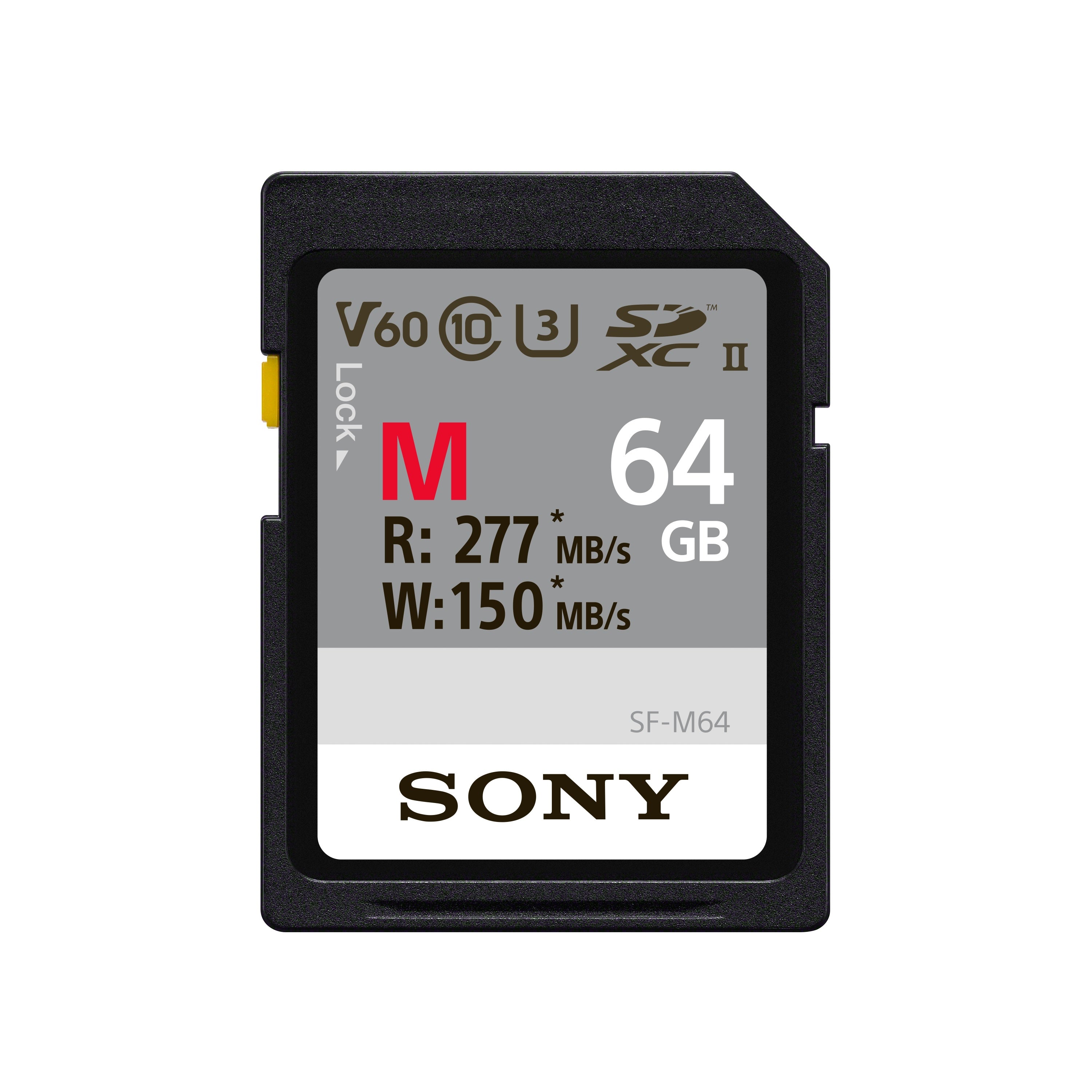 64 GB Memory card - SF-M64